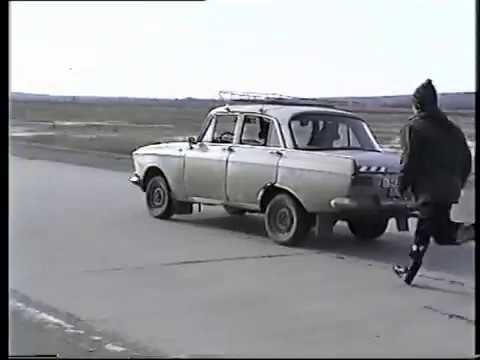 Собаки угнали машину
