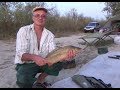 Рыбалка на реке Дон,  два последних летних дня 2019