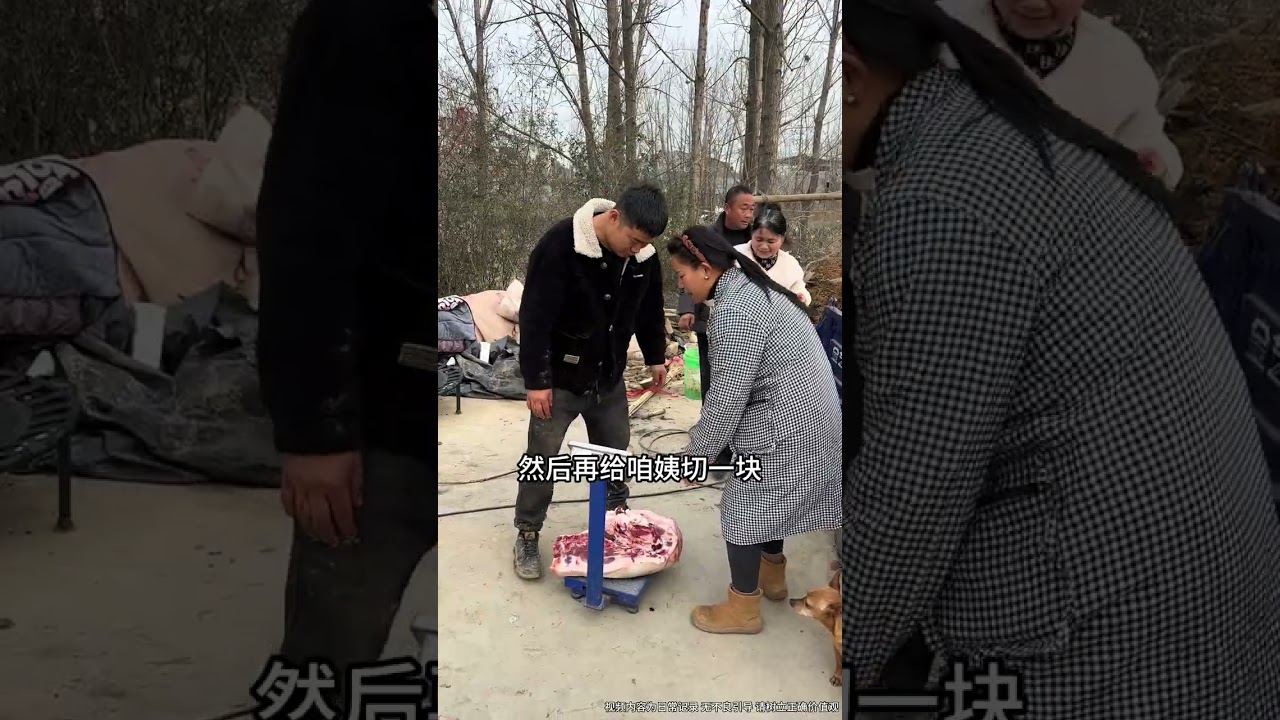 Northeast Yellow Glutinous Corn: Sweet & Sticky Delight