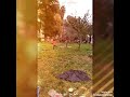 اغنية انا وياكي وحدة حال مهما تغير الاحوال 