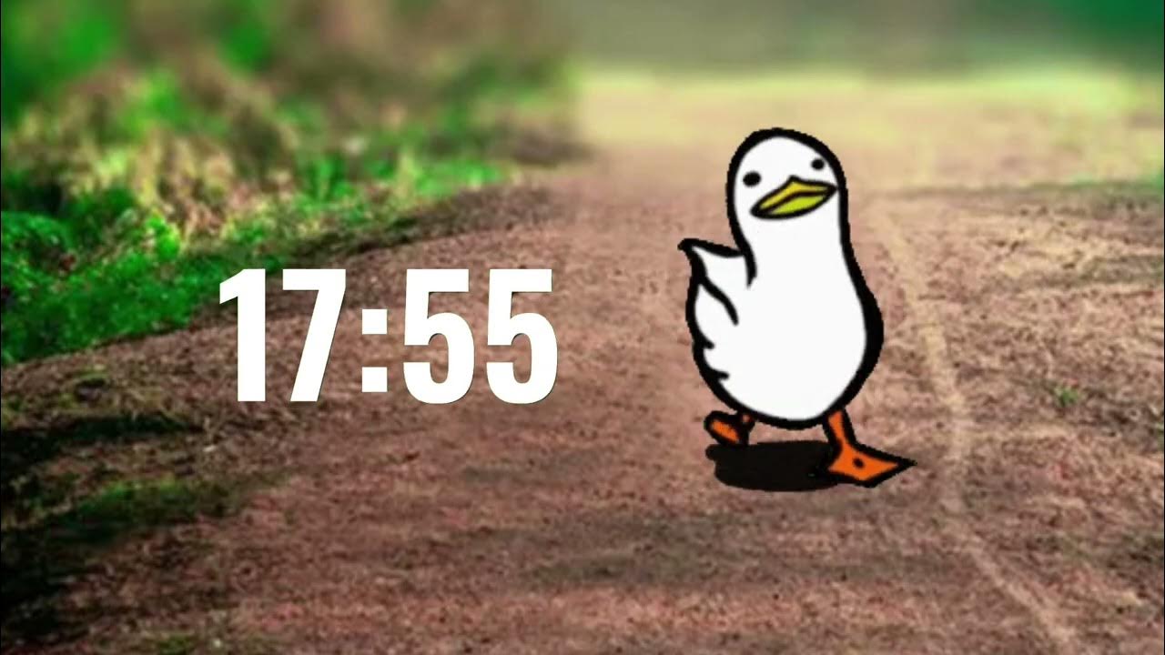 Duck Goes For A Walk 30 minutes Countdown Timer 30 minutes Walking