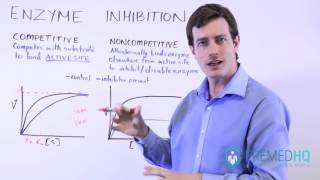 Types of Enzyme Inhibition: Competitive vs Noncompetitive | MichaelisMenten Kinetics