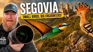 I Travelled to Spain's Bird Photography Paradise!