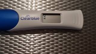 🤰LIVE!! Pregnancy test Clear Blue 2-3 weeks!!  #ClearBlue #pregnancy #pregnancytest #pregnant #baby