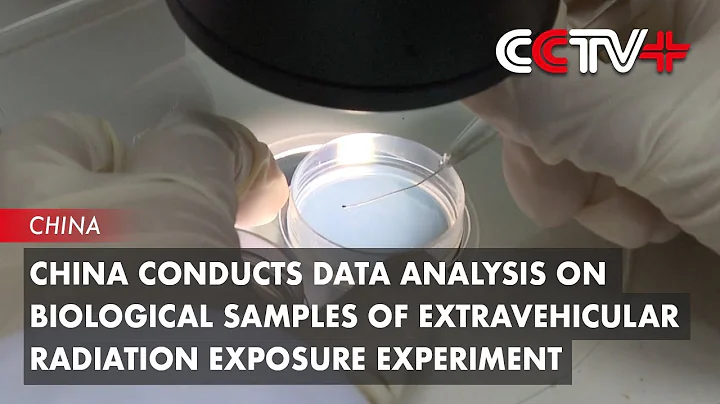 China Conducts Data Analysis on Biological Samples of Extravehicular Radiation Exposure Experiment - DayDayNews