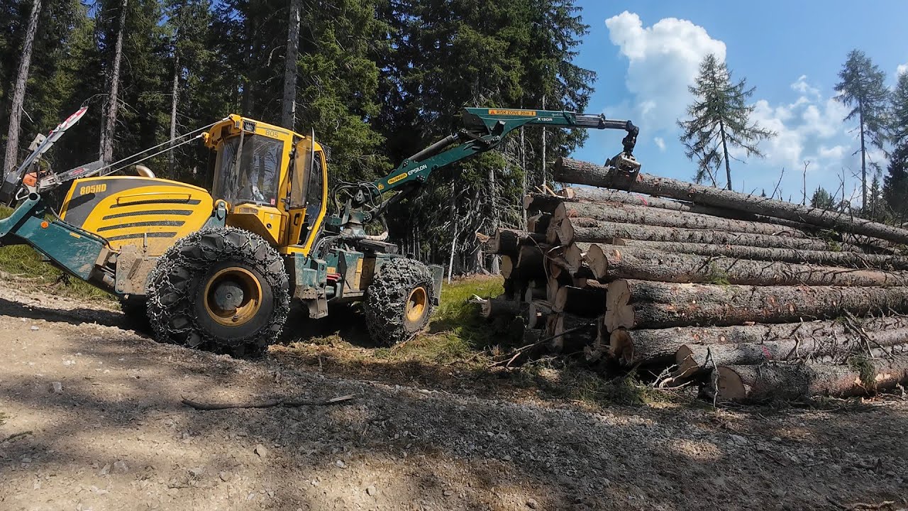 🌲 HSM 805 HD - Logging Day 🌲[ 1 : # ] 