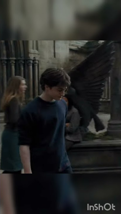 🥵 | Harry James Potter walk | The signature walk pt2