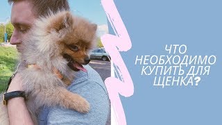 ЧТО НУЖНО КУПИТЬ ДЛЯ ЩЕНКА ШПИЦА // СКОЛЬКО У НАС ВЫШЛО