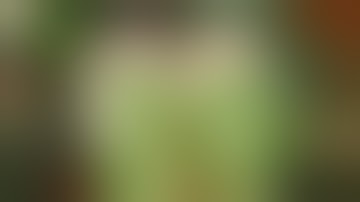 December 20th - Advent Calendar