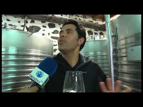 Saboreando Lanzarote - De tapas y vinos en La Cepa