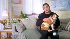 REGAL PET HEALTH - First TV advertisement (English)