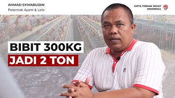 Tumpang Sari : Konsep Kandang Ayam & Kolam Lele Jadi Satu - Pak Syihabudin