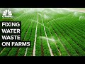 Us farms waste a lot of water  but this tech could help