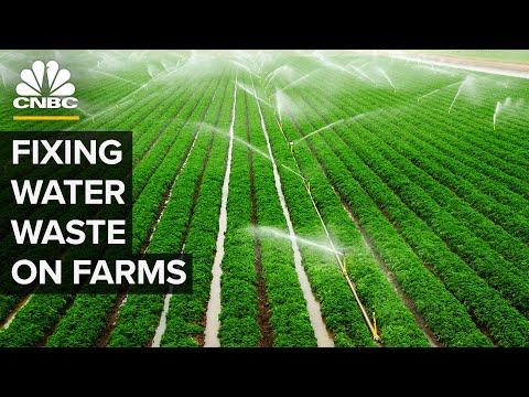 U. S. Farms waste a lot of water — but this tech could help