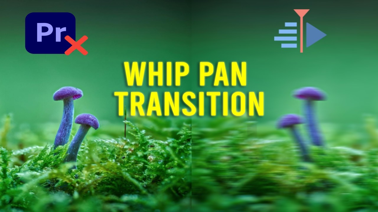 How to Add Whip Transitions in Kdenlive | animation | video editing