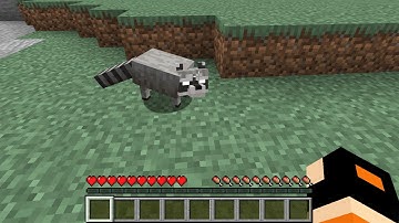 raccoon in minecraft