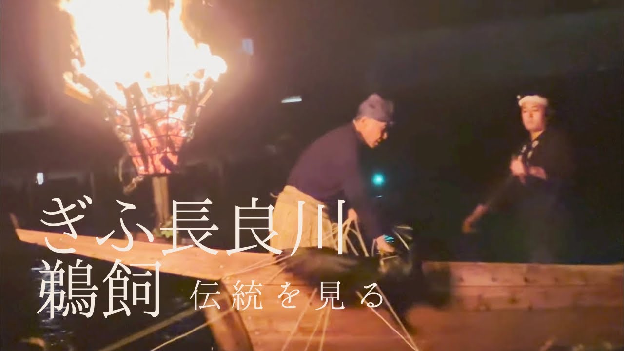 【ぎふ長良川ひとり旅】1300年以上の歴史と伝統を徹底リポート！！！【鵜匠と鵜の絆】