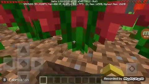 Minecraft cache cache#2