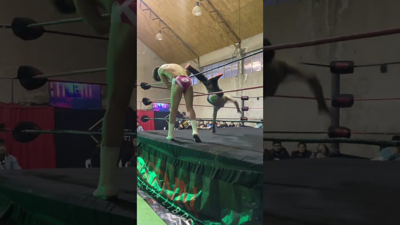 Kaempfer Vs Monky Vs Grodd