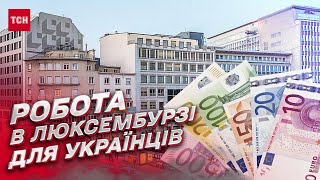 💼 Пошук роботи за кордоном: як Люксембург допомагає біженцям із працевлаштуванням