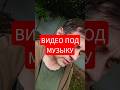 видео под музыку бла бла бла