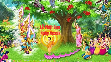 Clip 24 Lễ Phật Đản, ngày Vesak, ý nghĩa Phật giáo