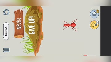 Brain up level 66 gameplay walkthrough solution | Brain up game by Azura Global | BrainUp game