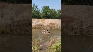 Summer Time Fun | Creek Swimming | shorts | summertimefun | creekview