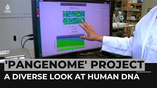 New 'Pangenome' project reveals diverse look at human DNA