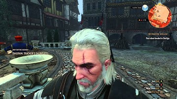 The Witcher 3 Floating Head Glitch!!!