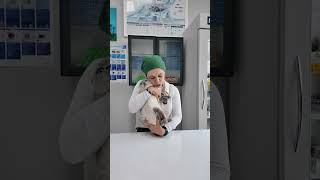 Anne Olmak Kolay Mı