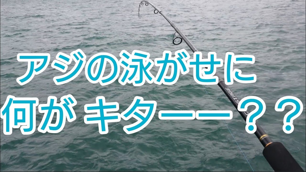 泳がせ釣り アジの泳がせ釣りに 何かがｷﾀｰｰｰ 久しぶりのドラグ音が聞けて幸せです 福岡県北九州市 日明海釣り公園 Youtube