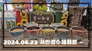 24.04.22 서인경수제화분 ❤#국산공방분#수제분#야생화분 #서인경분#서인경화분#다육이화분#다육화분#서인경수제화분#분갈이화분#도소매문의 주문전화 010-8062-8821