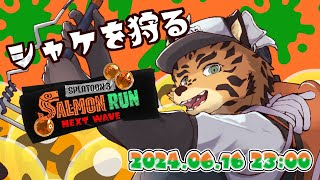 【サーモンランNW/参加型/すじこ＃26】シャケ狩り屋はあやまらない【樫城槌/Vtuber】