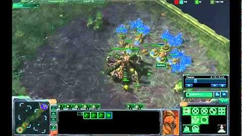 SC2 - Response - Void Rays