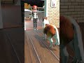 Nick and Tani Realized His Misunderstanding With The Good Dog in Scary Teacher 3D #gta #funny
