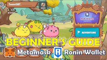 Axie Infinity Beginner