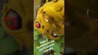 A Boglins Plight