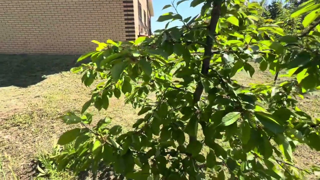 РОССИЯДА ПУЛНИ ЙЁКИБ ПУЛ ИШЛАШНИ КУРИНГА