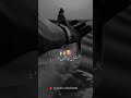 islamic video #shorts #islam #IslamicContent
