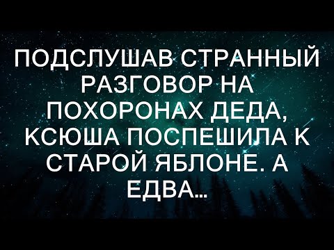 Подслушав странный разговор на похоронах деда, Ксюша поспешила к старой яблоне. А едва…