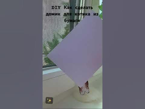 DIY Как сделать домик для бумажного котика 🐈 - YouTube