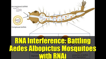 RNA Interference: Battling Aedes Albopictus Mosquitoes with RNAi