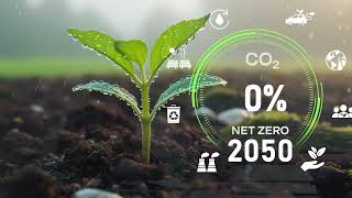 Carbon Analysis - Real Time Carbon Intelligence from Bentley