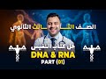 أقوي حل وشرح أسئلة DNA RNA كتاب النفيس Biology لغات أحياء ثانوية عامة 2025 الجزء الأول أقوي حل وشرح أسئلة DNA RNA كتاب النفيس Biology لغات أحياء ثانوية عامة 2025 الجزء الأول