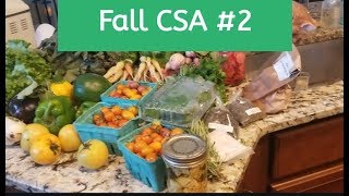 Fall CSA #2 2019