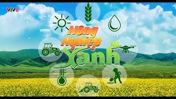 Top: NÔNG NGHIỆP XANH : Khôi Phục Và Phát Triển Đàn Heo