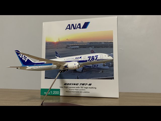 模型開箱】全日空ANA B787-8 Dreamliner 787 LOGO｜JA805A｜Hogan 1