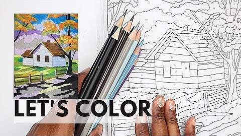 Bob Ross Color-By-Number (COLOR ALONG)  | Adult Coloring