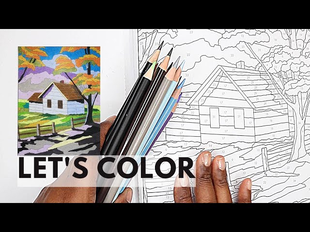 How I Color- French Disney Color by Number Books 